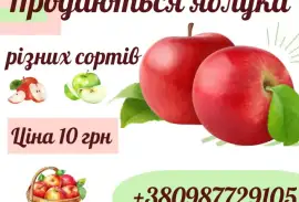 Продам яблука різних сортів, грн. 10.00