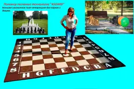           Большое шахматное поле-аттракцион , грн. 14,400.00