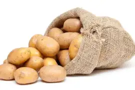 Продається картопля оптом-велика та посівна, грн. 15.00