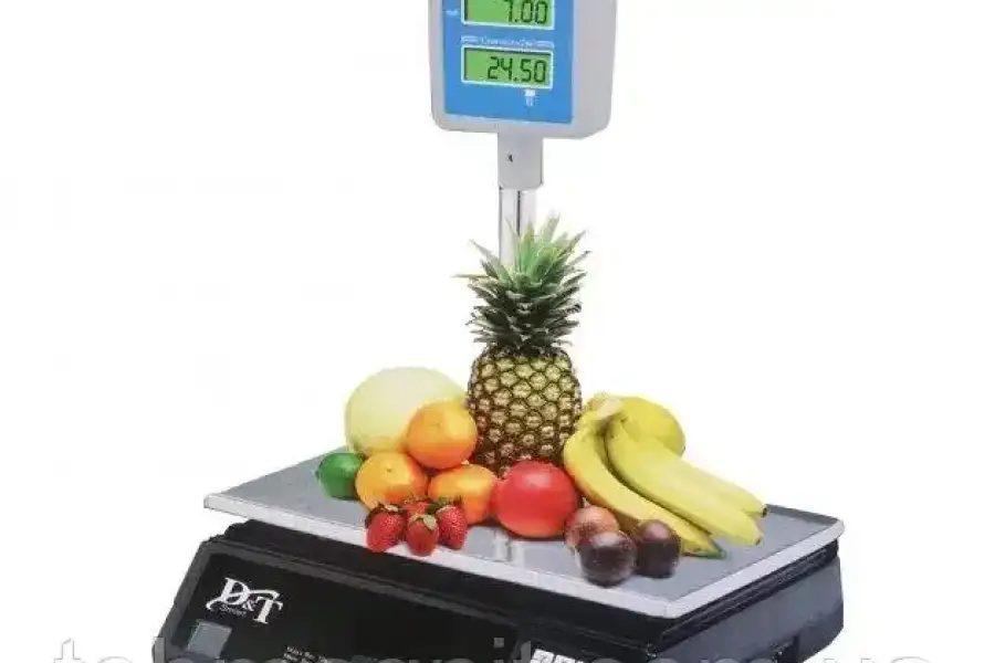 Весы торговые электронные 50 кг DT Smart DT-5053