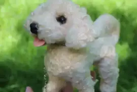 Собачка іграшка валяна мальтіпу інтерєрна собака п